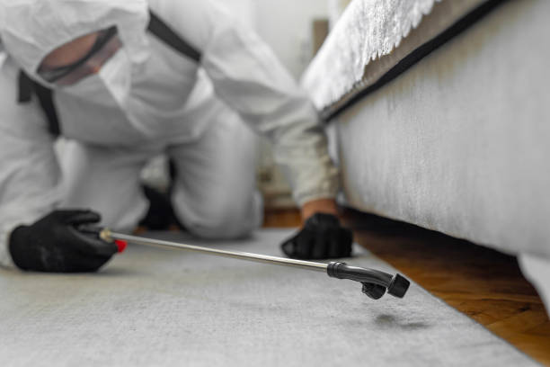 Professional Bed Bug Control technician working in Adair County County, IA